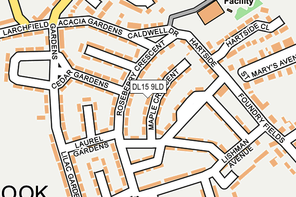 DL15 9LD map - OS OpenMap – Local (Ordnance Survey)