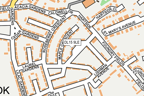 DL15 9LE map - OS OpenMap – Local (Ordnance Survey)