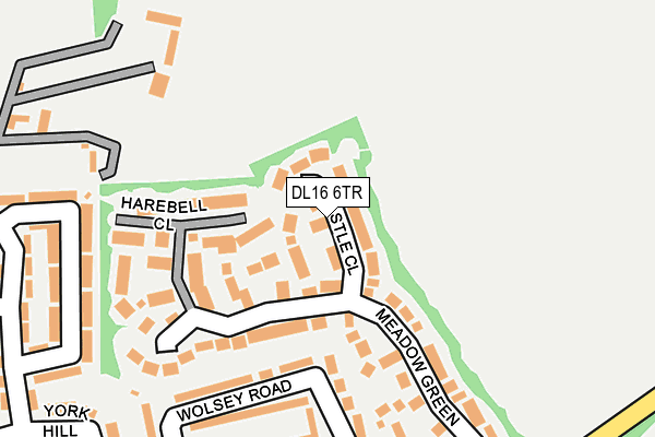 DL16 6TR map - OS OpenMap – Local (Ordnance Survey)