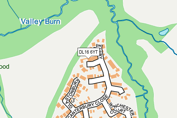 DL16 6YT map - OS OpenMap – Local (Ordnance Survey)