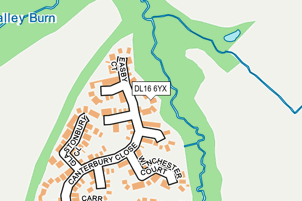 DL16 6YX map - OS OpenMap – Local (Ordnance Survey)