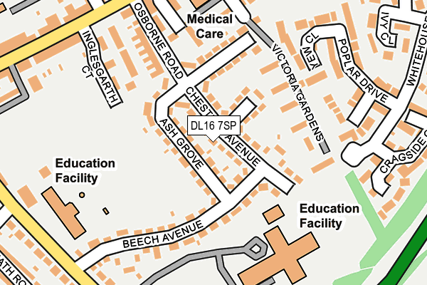 DL16 7SP map - OS OpenMap – Local (Ordnance Survey)