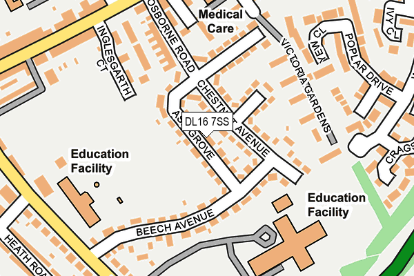 DL16 7SS map - OS OpenMap – Local (Ordnance Survey)