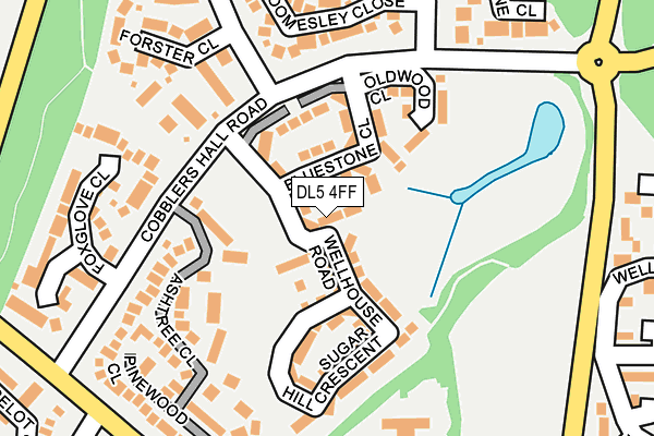 DL5 4FF map - OS OpenMap – Local (Ordnance Survey)