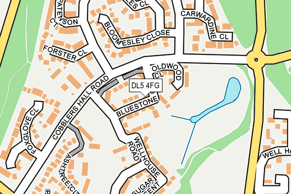 DL5 4FG map - OS OpenMap – Local (Ordnance Survey)
