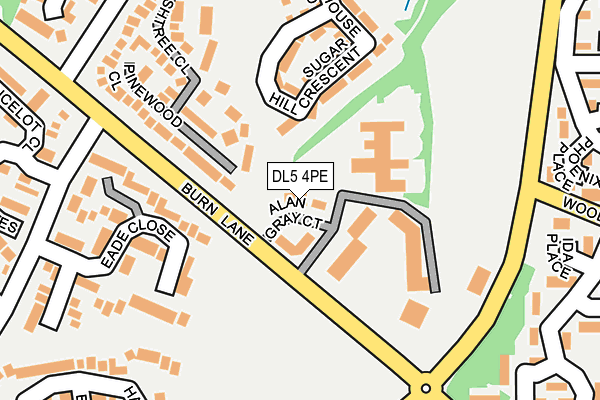 DL5 4PE map - OS OpenMap – Local (Ordnance Survey)