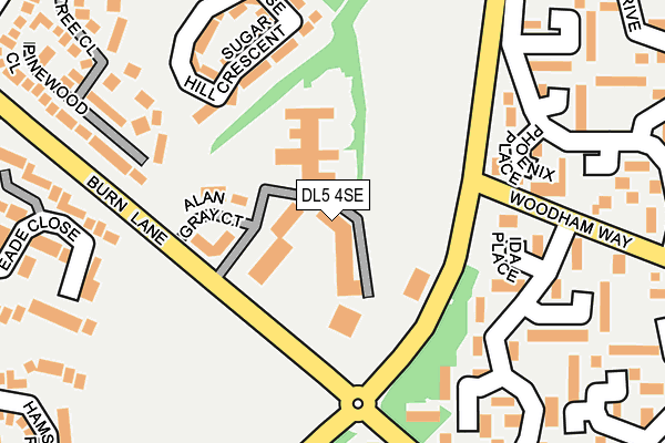 DL5 4SE map - OS OpenMap – Local (Ordnance Survey)