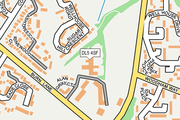 DL5 4SF map - OS OpenMap – Local (Ordnance Survey)