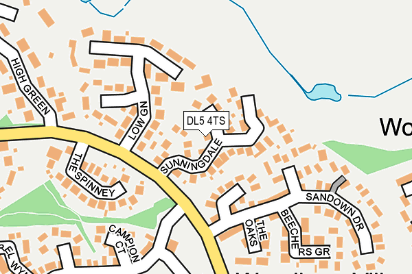 DL5 4TS map - OS OpenMap – Local (Ordnance Survey)
