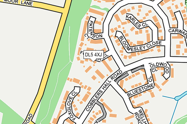 DL5 4XJ map - OS OpenMap – Local (Ordnance Survey)