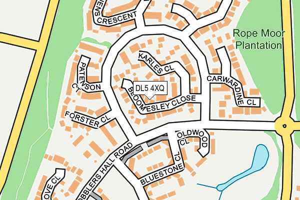 DL5 4XQ map - OS OpenMap – Local (Ordnance Survey)