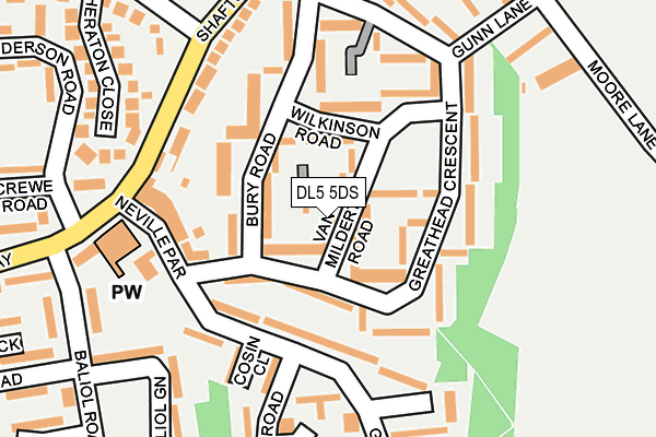 DL5 5DS map - OS OpenMap – Local (Ordnance Survey)