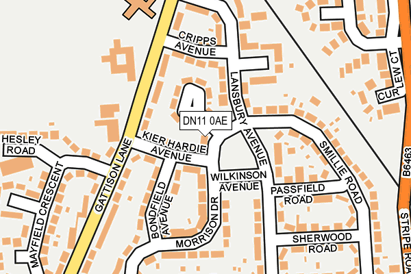 DN11 0AE map - OS OpenMap – Local (Ordnance Survey)