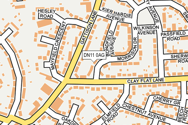 DN11 0AG map - OS OpenMap – Local (Ordnance Survey)