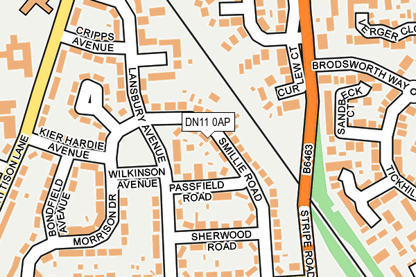 DN11 0AP map - OS OpenMap – Local (Ordnance Survey)