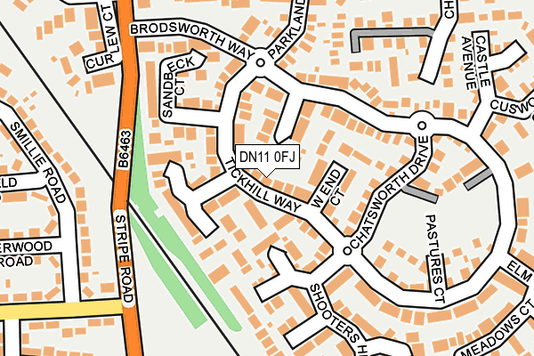 DN11 0FJ map - OS OpenMap – Local (Ordnance Survey)