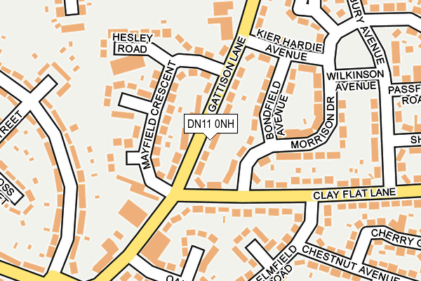 DN11 0NH map - OS OpenMap – Local (Ordnance Survey)