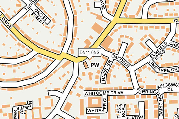 DN11 0NS map - OS OpenMap – Local (Ordnance Survey)