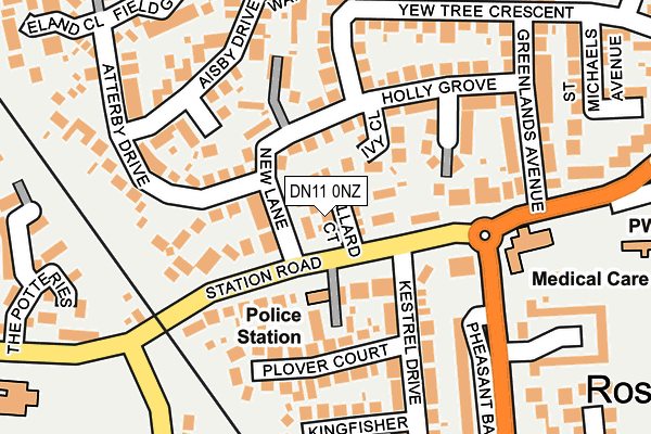 DN11 0NZ map - OS OpenMap – Local (Ordnance Survey)