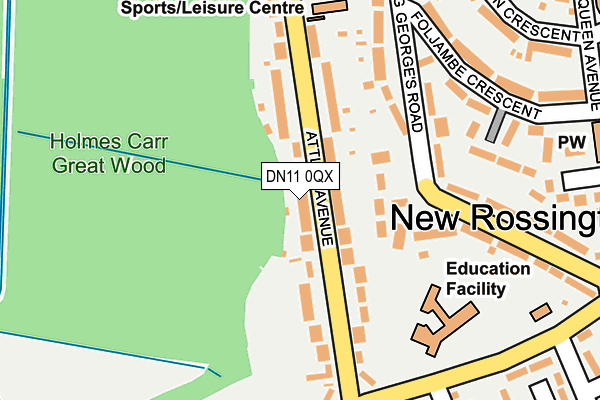 DN11 0QX map - OS OpenMap – Local (Ordnance Survey)