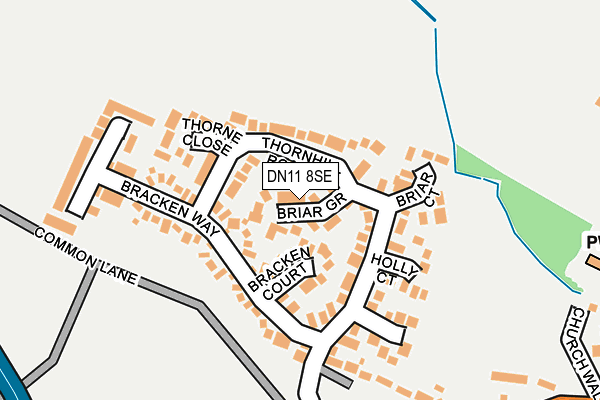 DN11 8SE map - OS OpenMap – Local (Ordnance Survey)