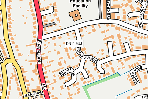 DN11 9UJ map - OS OpenMap – Local (Ordnance Survey)