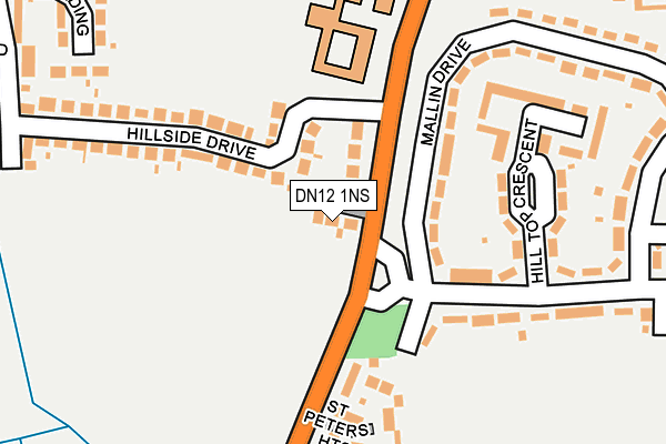 DN12 1NS map - OS OpenMap – Local (Ordnance Survey)