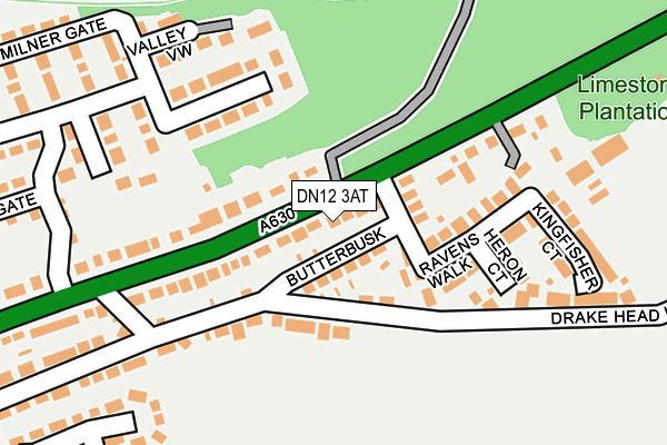 DN12 3AT map - OS OpenMap – Local (Ordnance Survey)