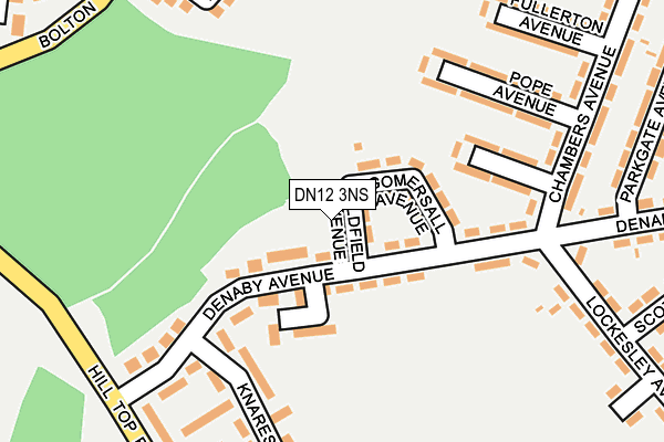 DN12 3NS map - OS OpenMap – Local (Ordnance Survey)