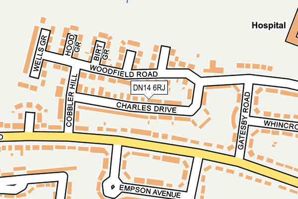 DN14 6RJ map - OS OpenMap – Local (Ordnance Survey)