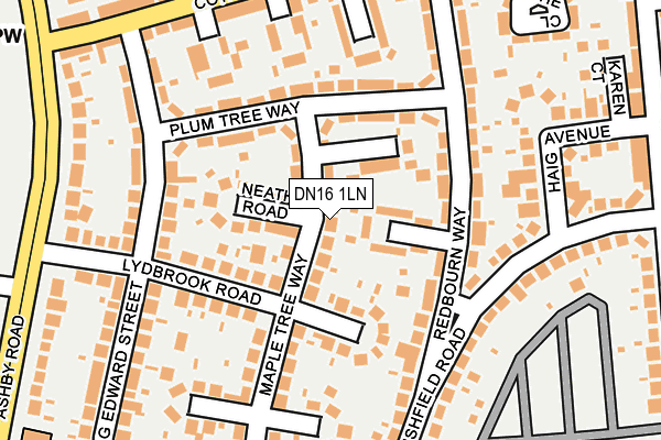 DN16 1LN map - OS OpenMap – Local (Ordnance Survey)