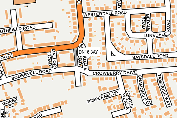 DN16 3AY map - OS OpenMap – Local (Ordnance Survey)