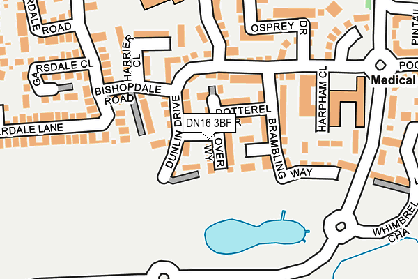 DN16 3BF map - OS OpenMap – Local (Ordnance Survey)