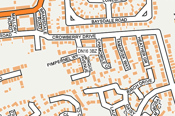 DN16 3BZ map - OS OpenMap – Local (Ordnance Survey)