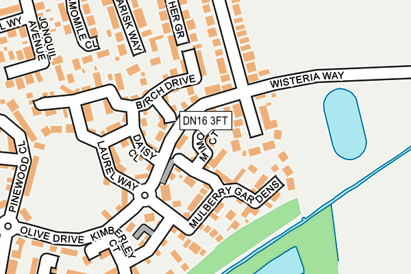 DN16 3FT map - OS OpenMap – Local (Ordnance Survey)