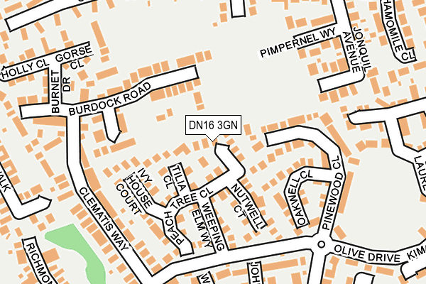 DN16 3GN map - OS OpenMap – Local (Ordnance Survey)