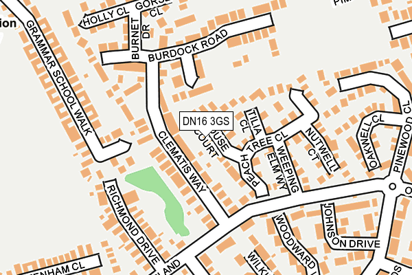 DN16 3GS map - OS OpenMap – Local (Ordnance Survey)