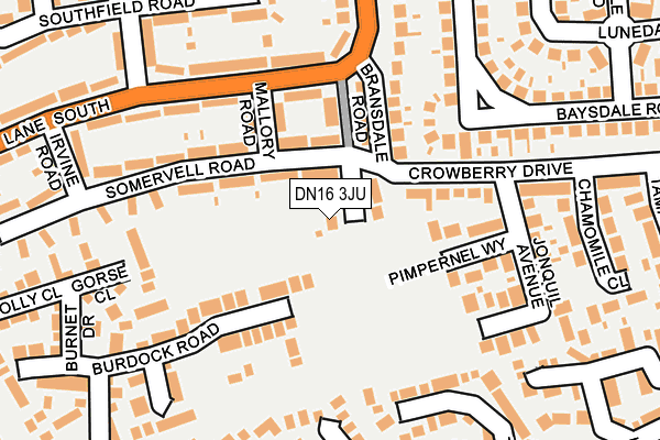 DN16 3JU map - OS OpenMap – Local (Ordnance Survey)