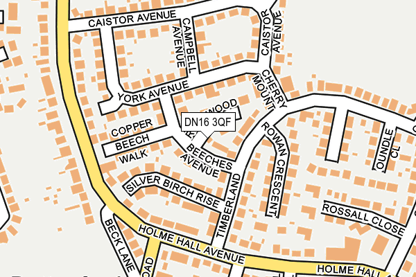 DN16 3QF map - OS OpenMap – Local (Ordnance Survey)