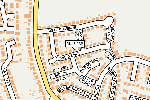 DN16 3SB map - OS OpenMap – Local (Ordnance Survey)