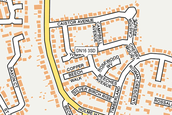 DN16 3SD map - OS OpenMap – Local (Ordnance Survey)