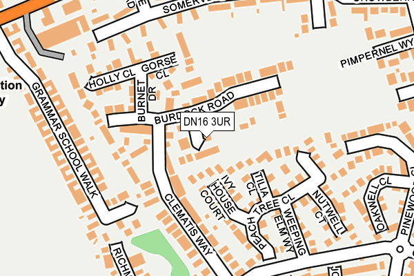 DN16 3UR map - OS OpenMap – Local (Ordnance Survey)
