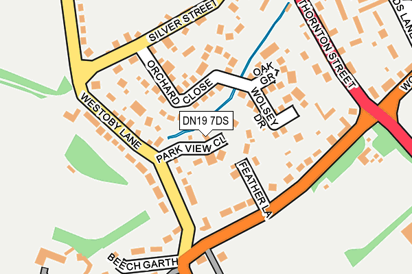 DN19 7DS map - OS OpenMap – Local (Ordnance Survey)