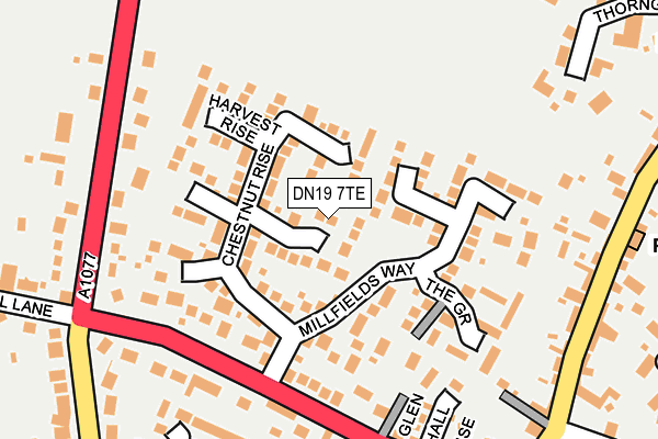 DN19 7TE map - OS OpenMap – Local (Ordnance Survey)