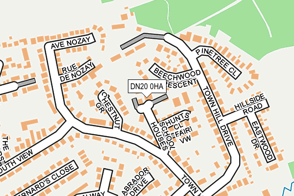 DN20 0HA map - OS OpenMap – Local (Ordnance Survey)