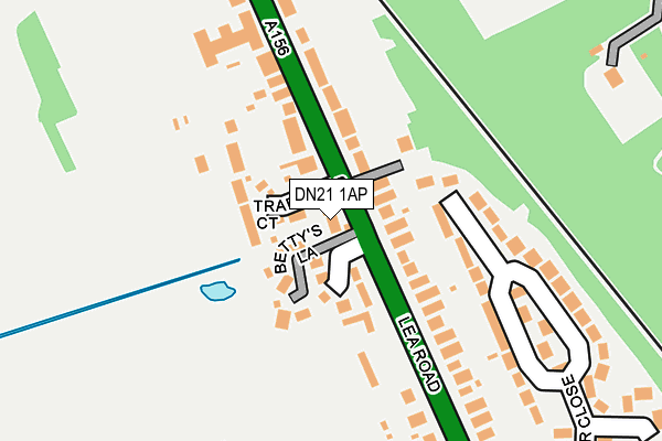 DN21 1AP map - OS OpenMap – Local (Ordnance Survey)