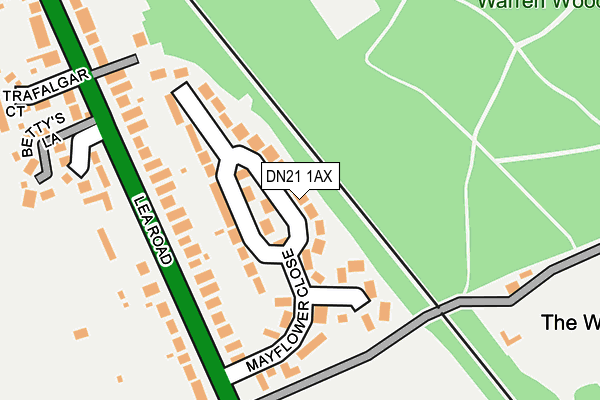 DN21 1AX map - OS OpenMap – Local (Ordnance Survey)