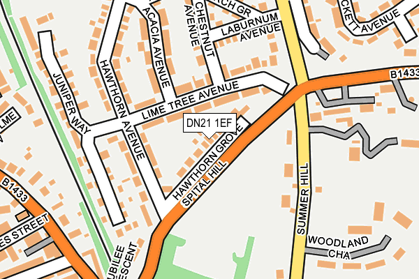 DN21 1EF map - OS OpenMap – Local (Ordnance Survey)
