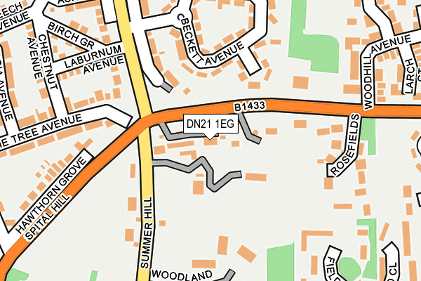 DN21 1EG map - OS OpenMap – Local (Ordnance Survey)
