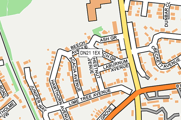 DN21 1EX map - OS OpenMap – Local (Ordnance Survey)
